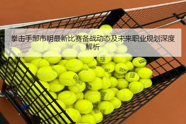 拳击手邹市明最新比赛备战动态及未来职业规划深度解析